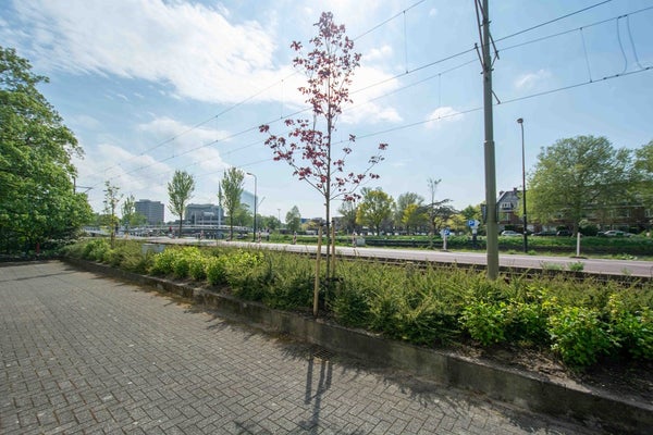 Haagweg Delft
