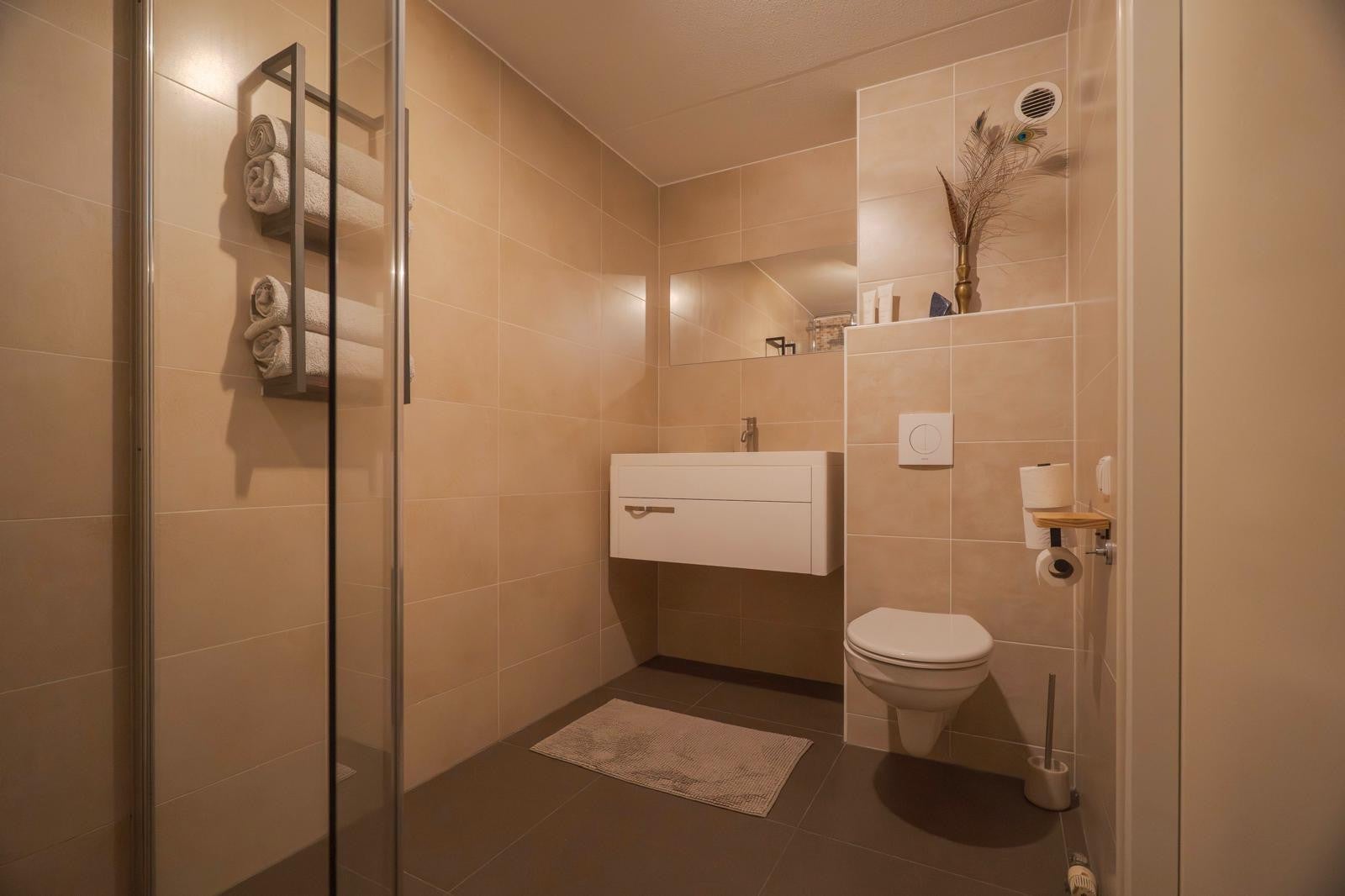 Woning te huur: Albert van Dalsumlaan, Arnhem