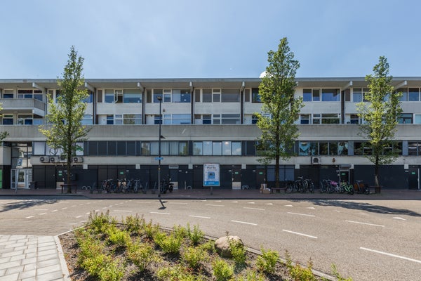 Buitenplein 49