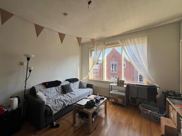 Room Violenstraat