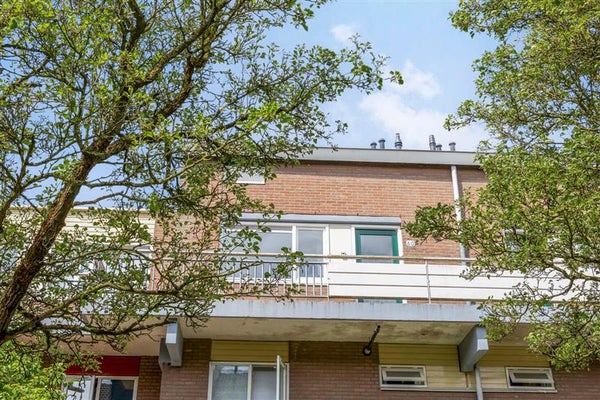 Boogschutter 60 in Hoorn