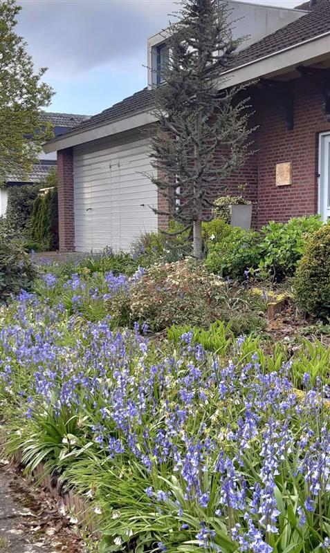 Vrijstaande woning te koop: Schepenstraat 25, Baexem