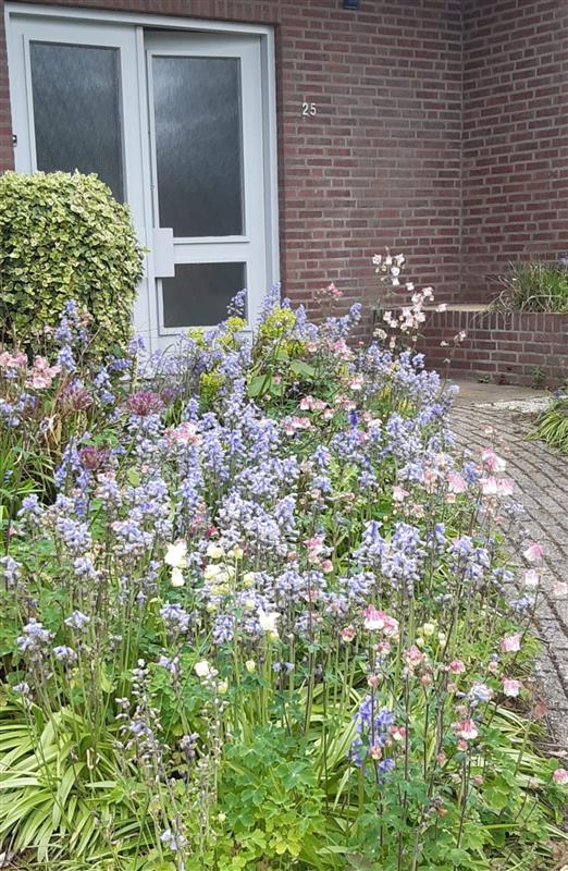 Vrijstaande woning te koop: Schepenstraat 25, Baexem