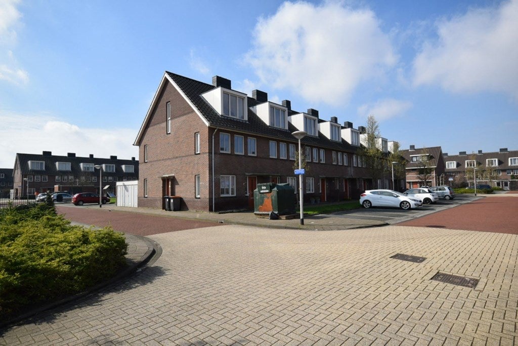 Veldmuis 3
