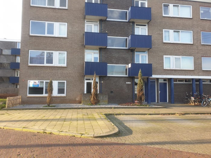 Te huur: Appartement Roelof van Schevenstraat 229 in Enschede