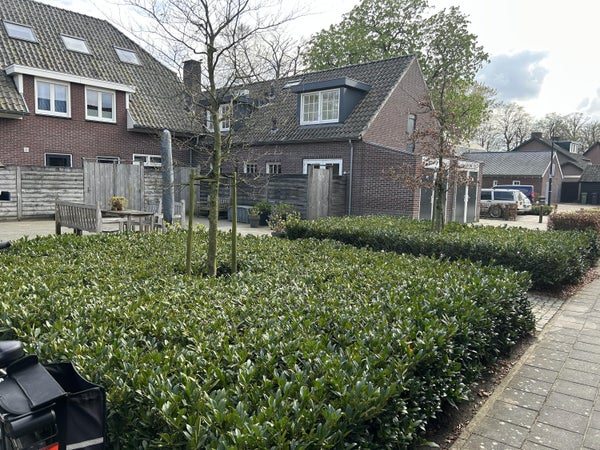 Huis Flinkert in Vessem