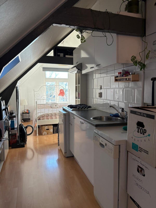 Studio Kortekade in Rotterdam