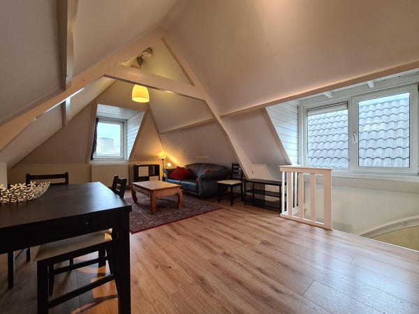 Piso Proveniersstraat en Rotterdam