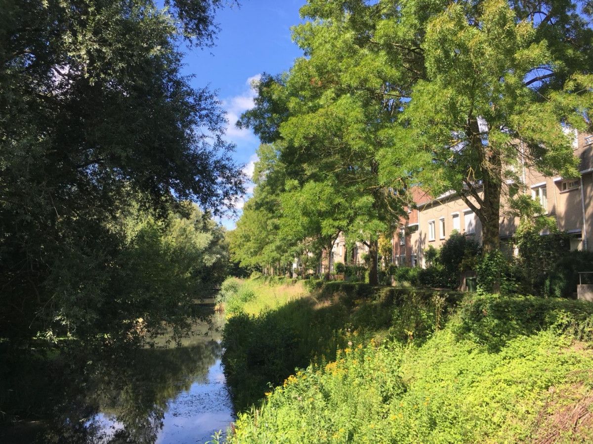 Woning te huur: Erasmusdomein, Maastricht
