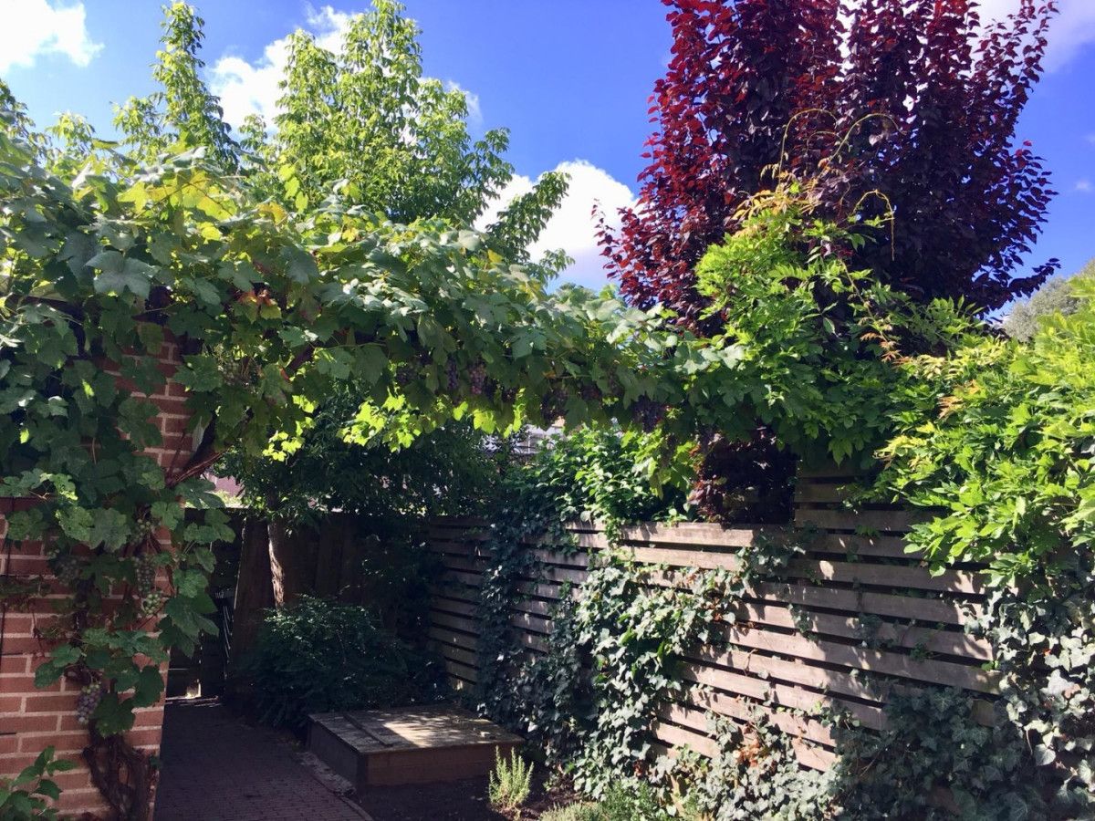 Woning te huur: Erasmusdomein, Maastricht