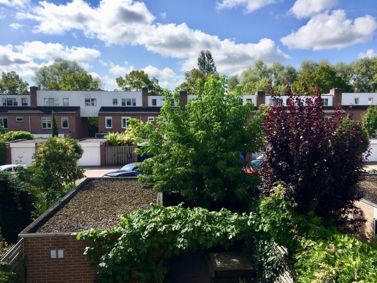 Woning te huur: Erasmusdomein, Maastricht