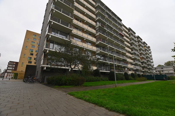 Grote Beerstraat 340 2