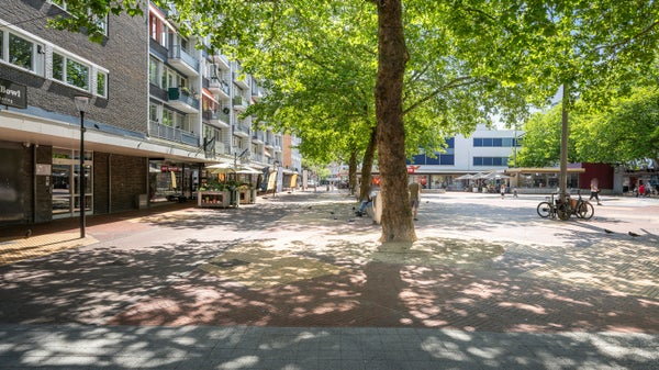 Appartement Liesveld 41 in Vlaardingen