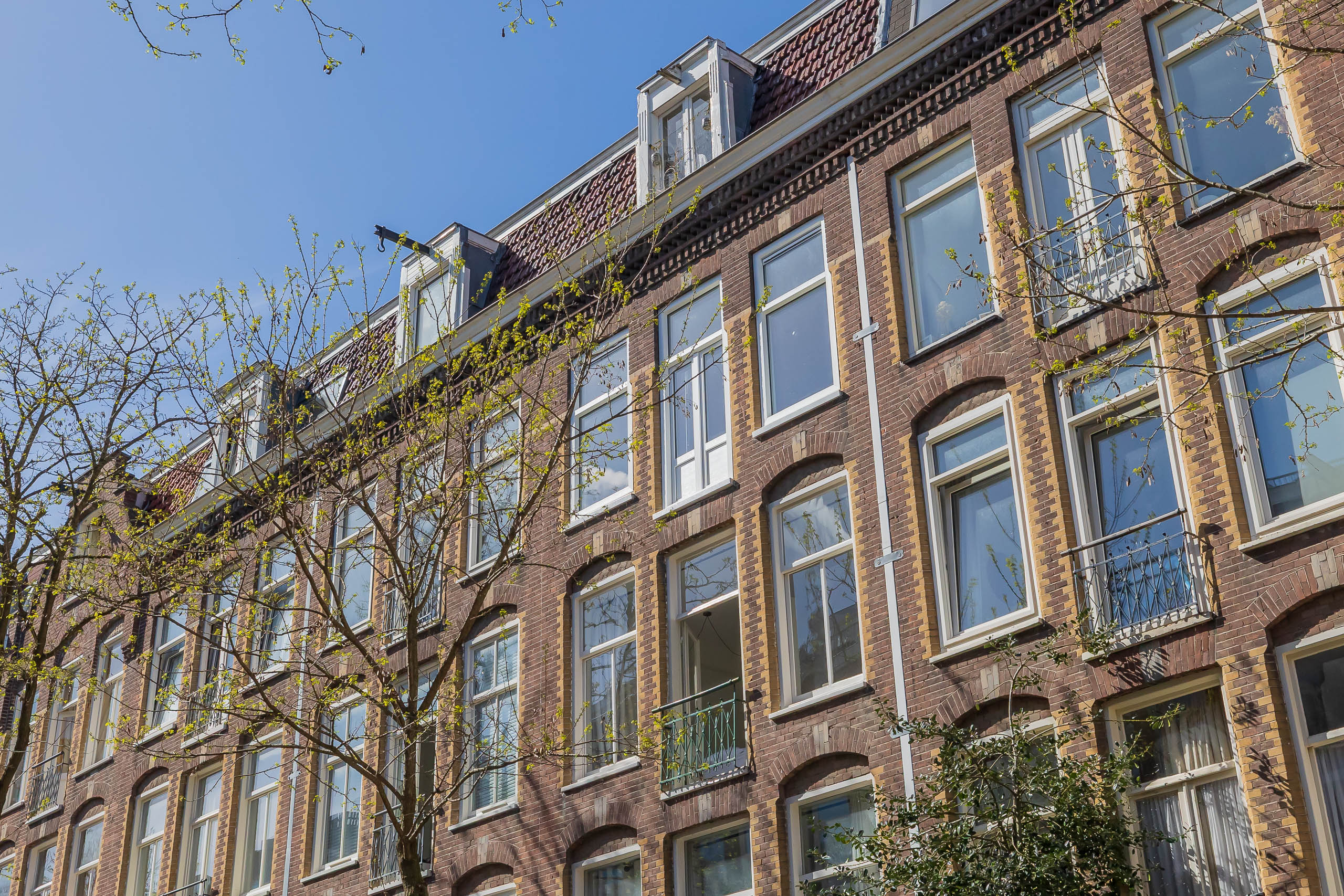 Flat Wilhelminastraat