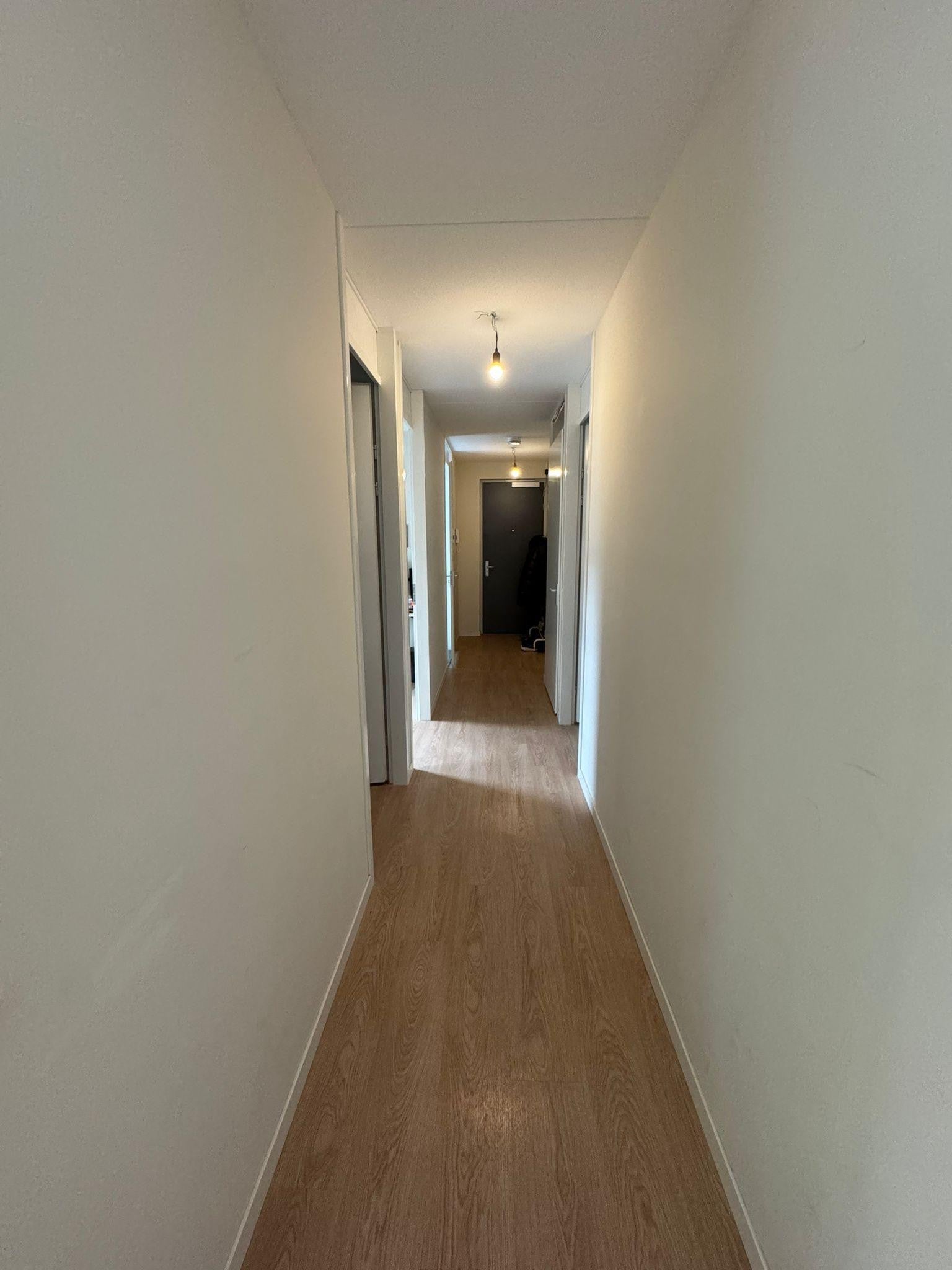 Flat Adriaen Nimantsstraat 58