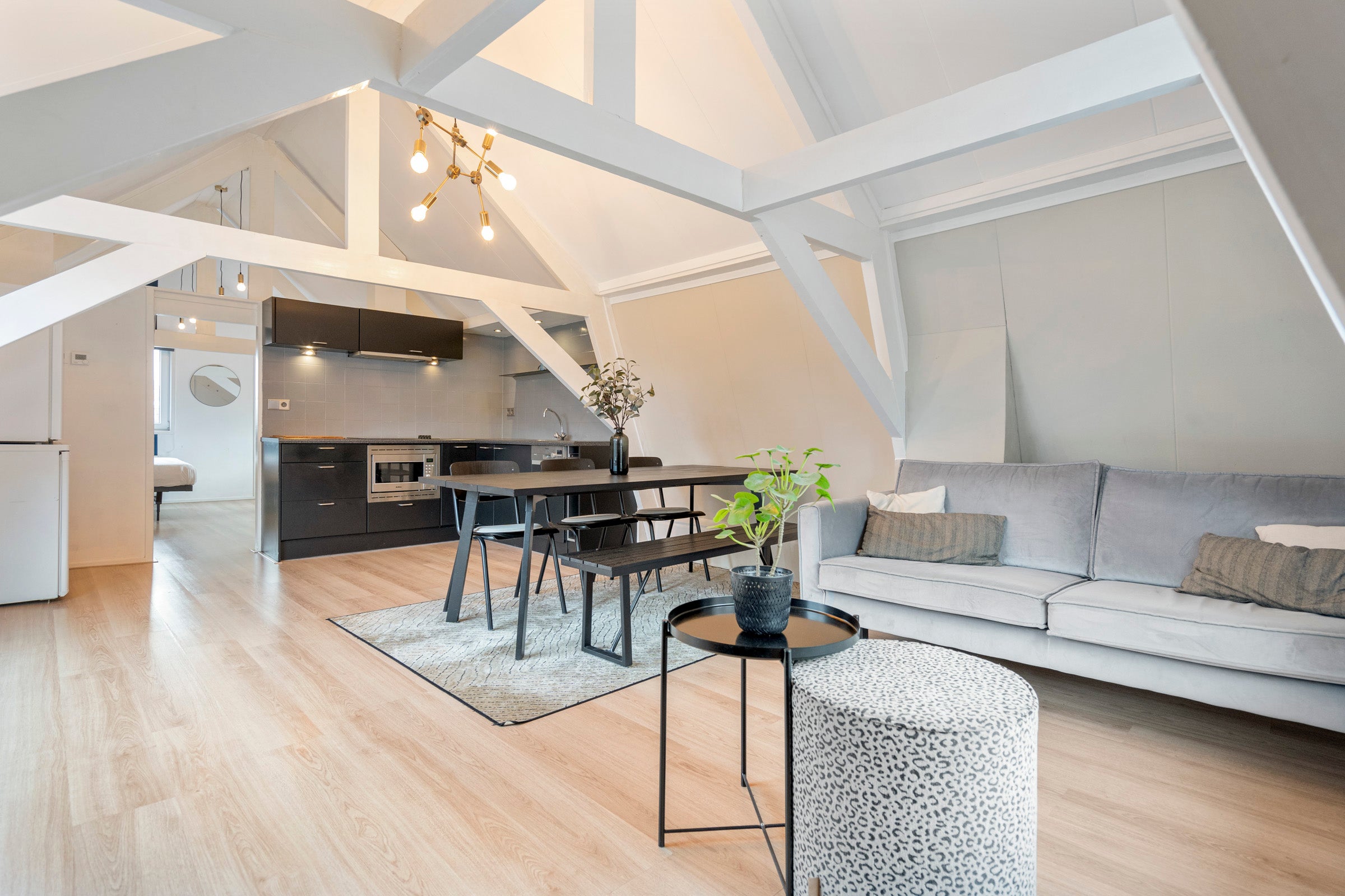 Appartement Korte Begijnestraat 7 B in Haarlem
