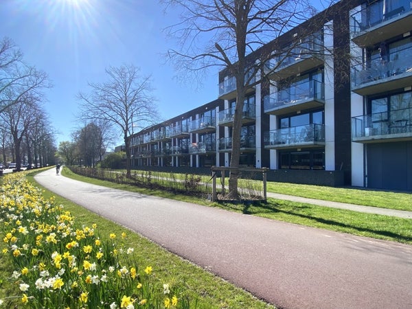 Selhorstweg