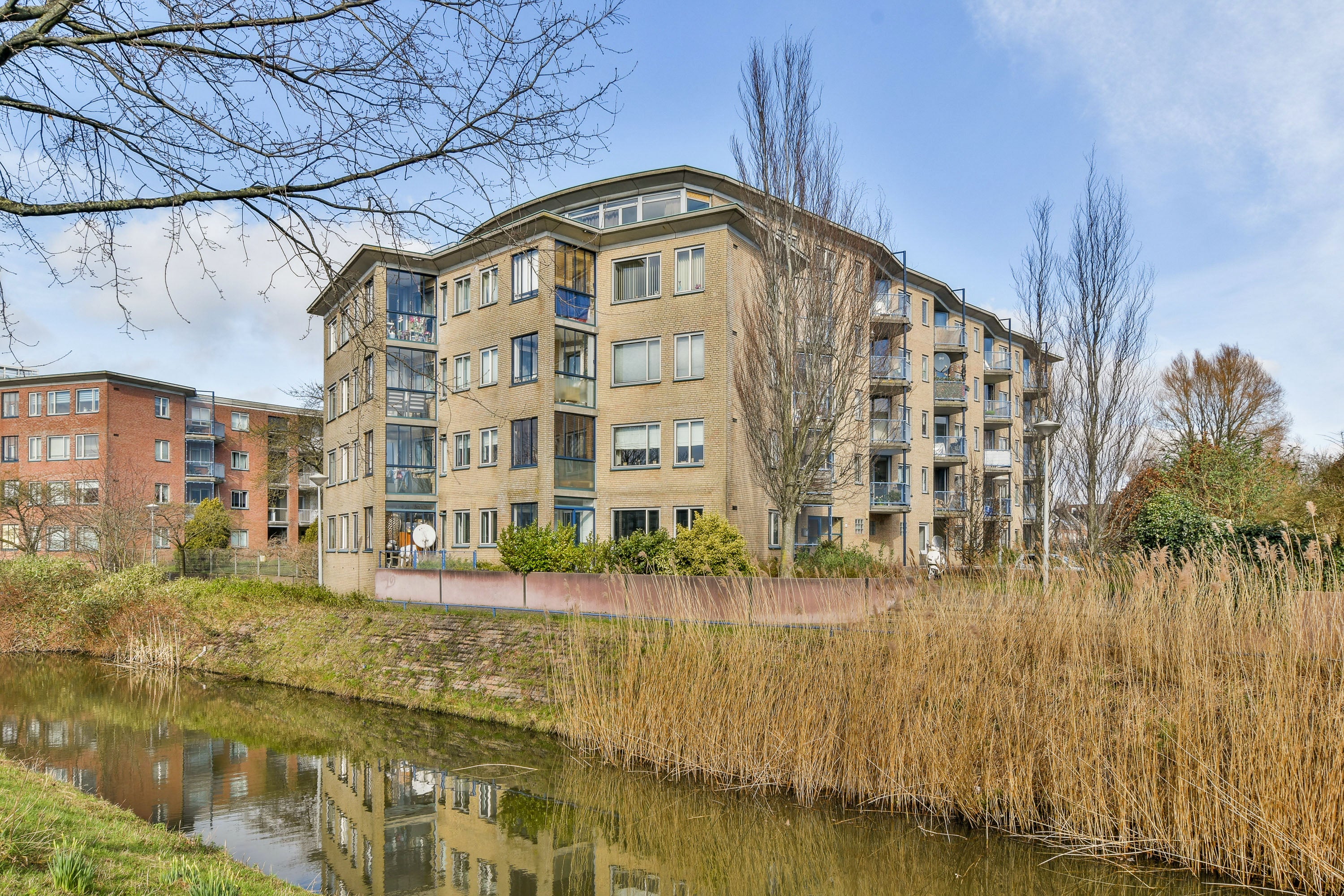 Flat Akersingel