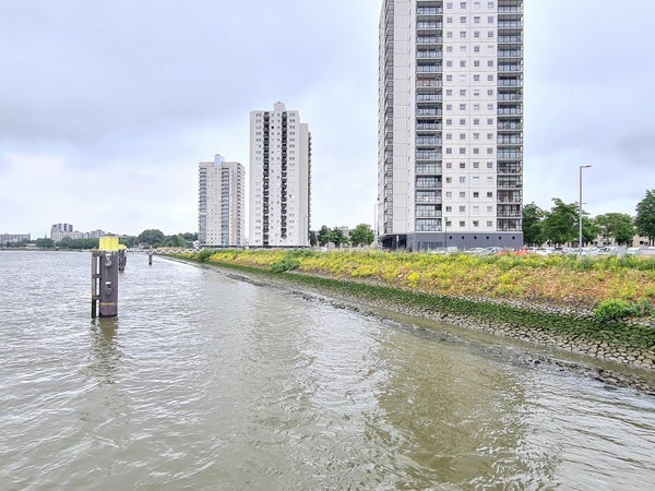 Appartement Buitenbassinweg in Rotterdam