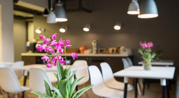 Flat Stadhoudersplantsoen in Den Haag