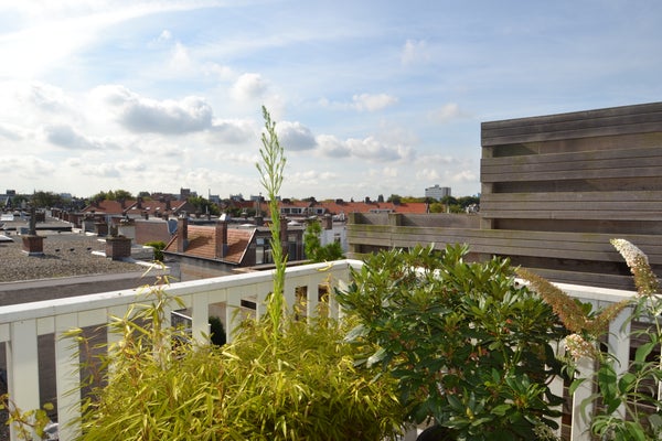 Te huur: Appartement Frederik Hendriklaan 170 B in Den Haag