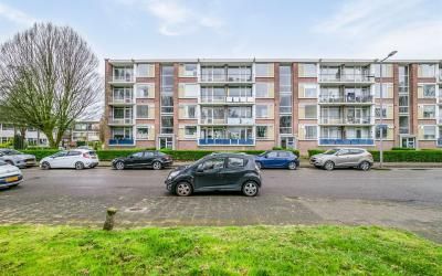 apartments for rent on Bredenoord