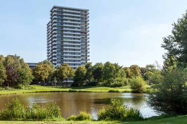 van Vredenburchweg 823