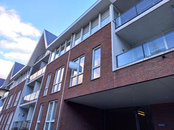 Hamsterstraat 137