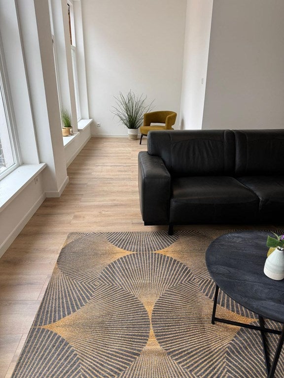 Woning te huur: Torenstraat, Winschoten