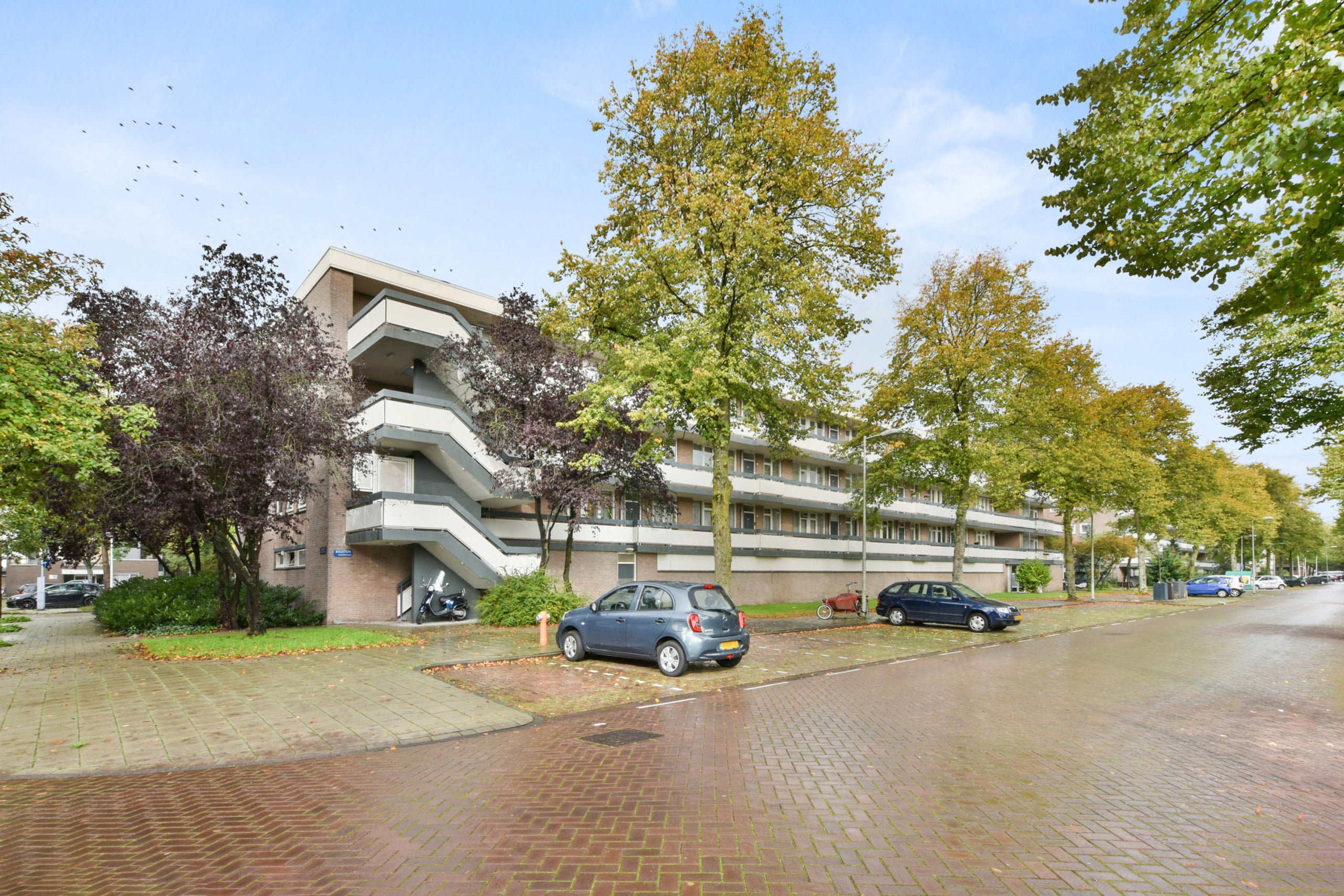 House Bolestein 366