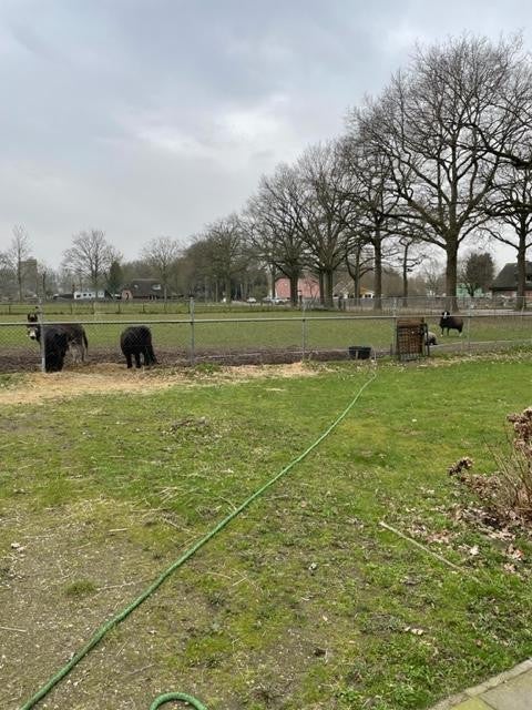 Huis Grintweg in Wageningen