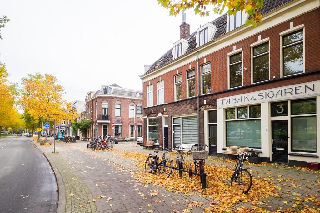 Flat Blauwkapelseweg 3