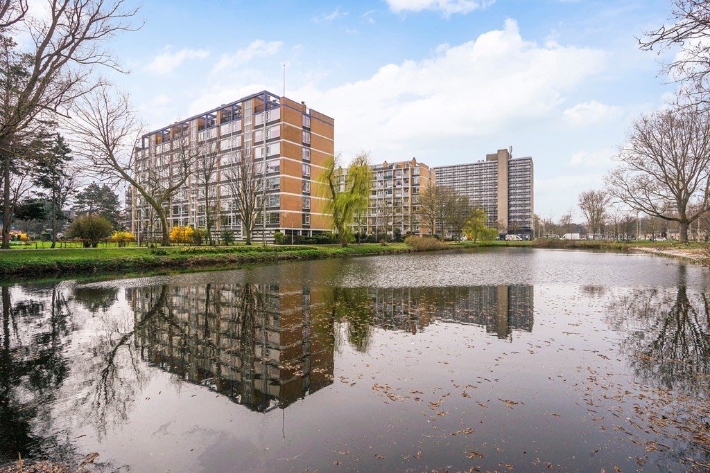 Louis Davidsstraat