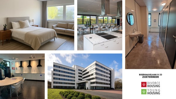 Boerhaavelaan
