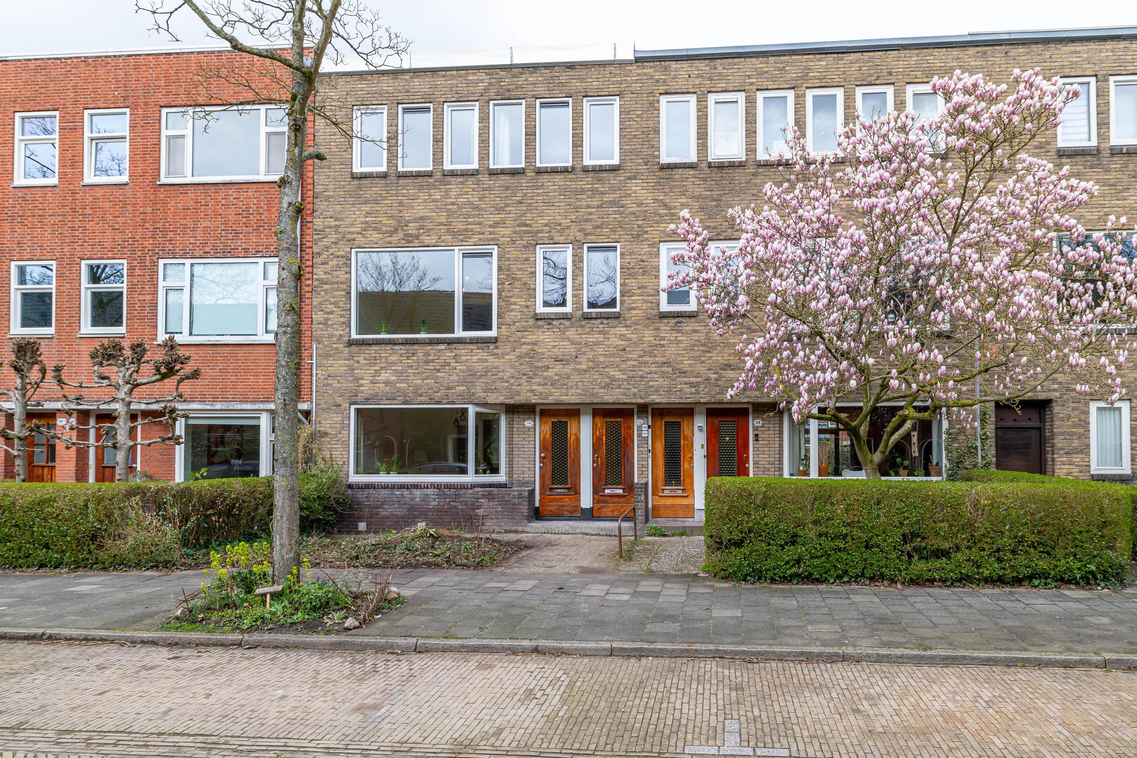House Star Numanstraat