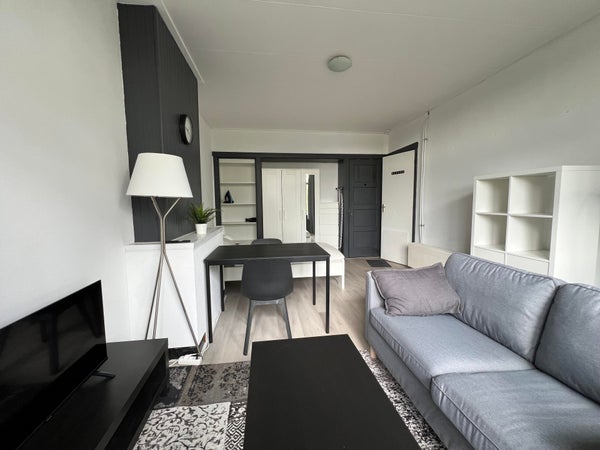 appartementen te huur op Pleinweg