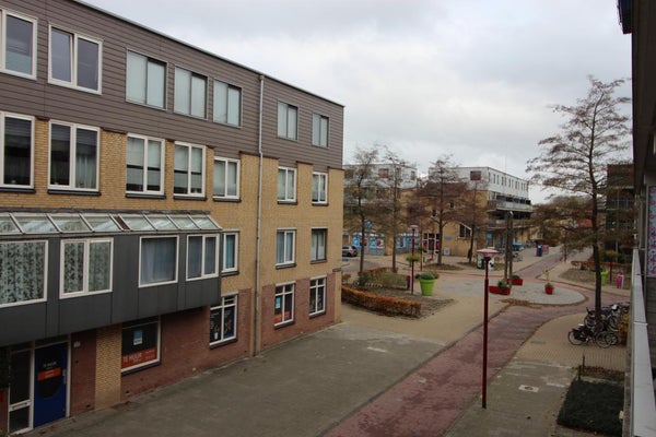Hoornseschans