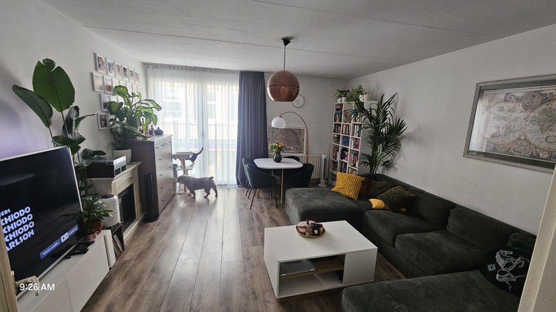 Appartement Rapenburg in Amsterdam