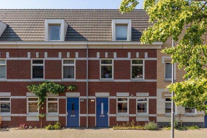 Raephorststraat 50