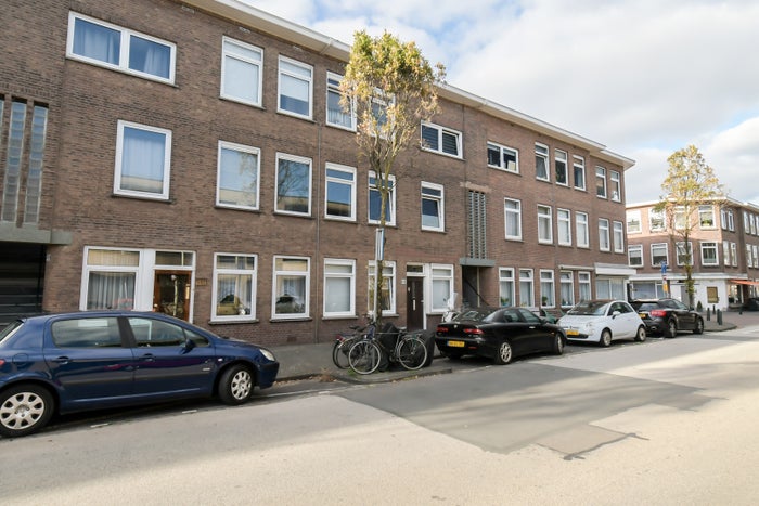 Pluvierstraat 443