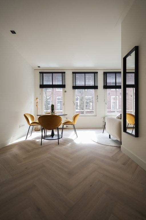 Flat Govert Flinckstraat