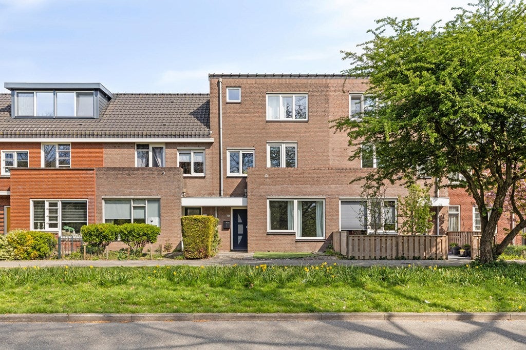 Harlingensingel