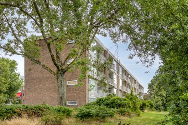Flat Ennemaborg in Amsterdam