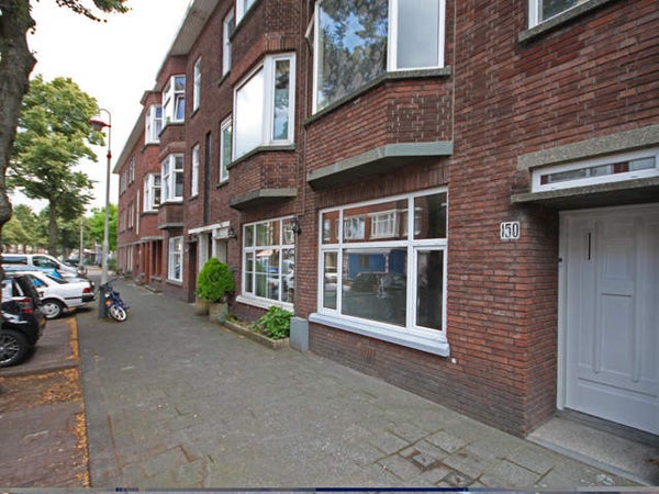 Linnaeusstraat