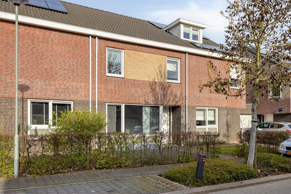 Groene Specht 33