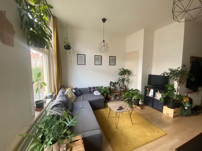 Te huur: Appartement Schiedamseweg in Rotterdam