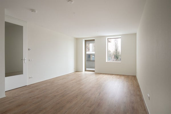 Flat Punt Sniep 126 in Diemen