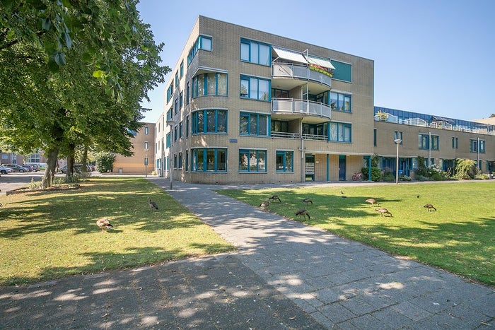 Te huur: Appartement Litouwen 4 in Delft