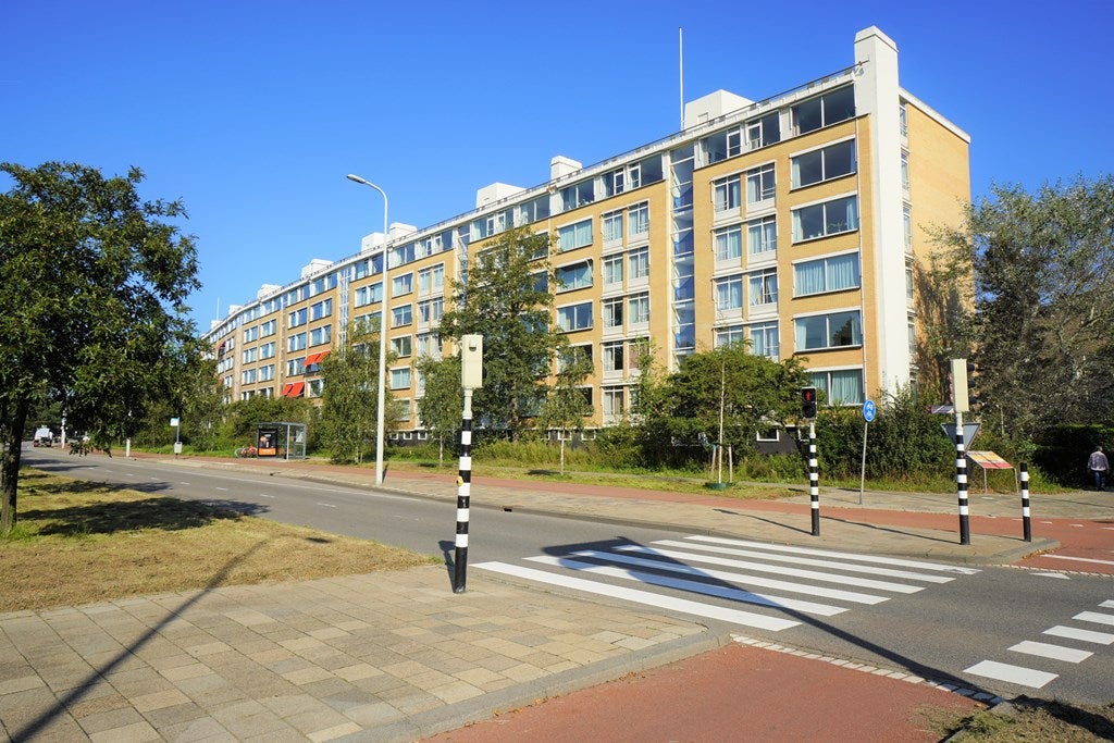 Flat Landréstraat 1005