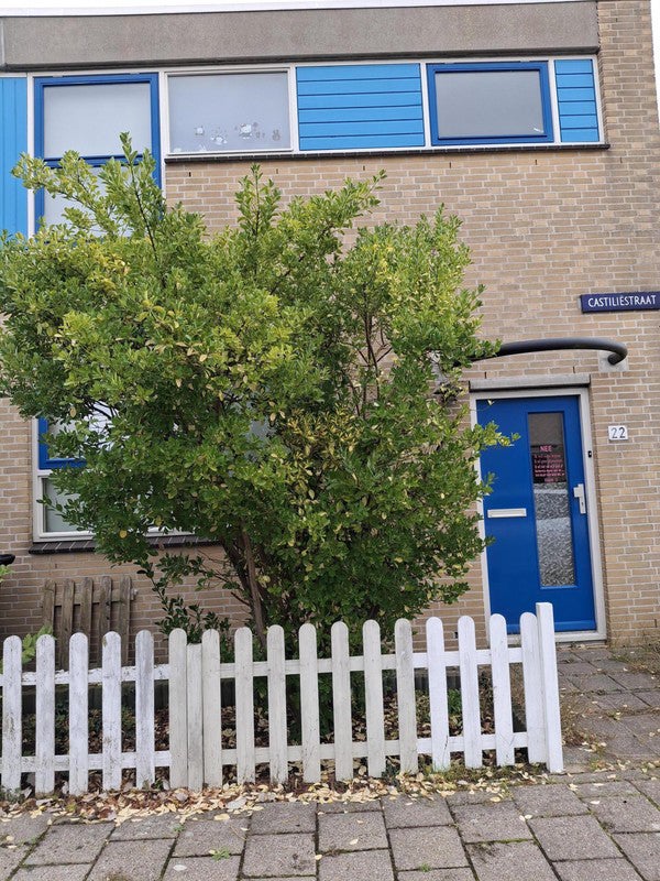 Appartement Castiliëstraat in Alkmaar